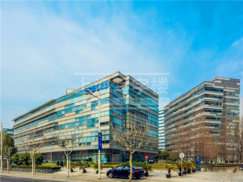 1592538917644881.jpg 1.jpg